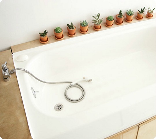 cactus-decoracion-2.jpg