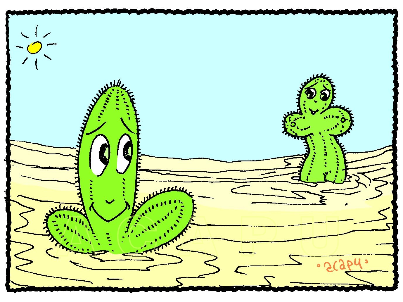 Cactus+en+desert-C-.jpg