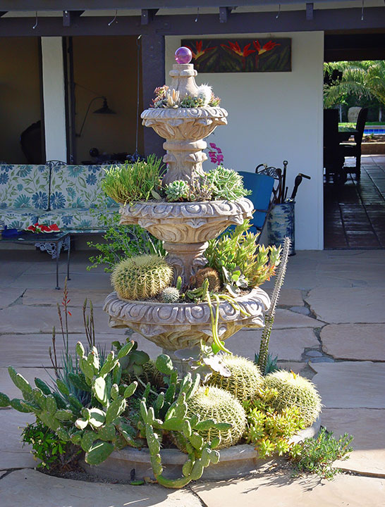 cactus-fountain-maureen-gilmore.jpg