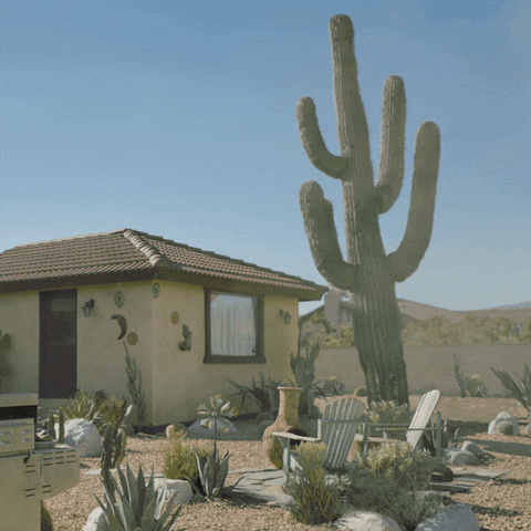 cactus.gif