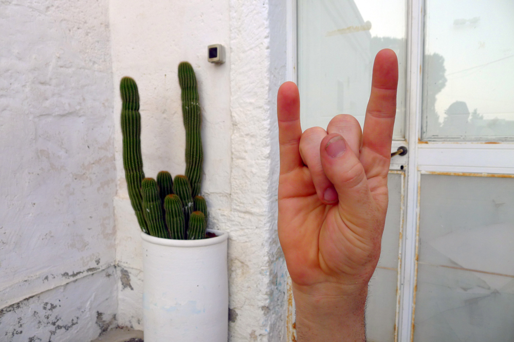 cactus-hand.jpg