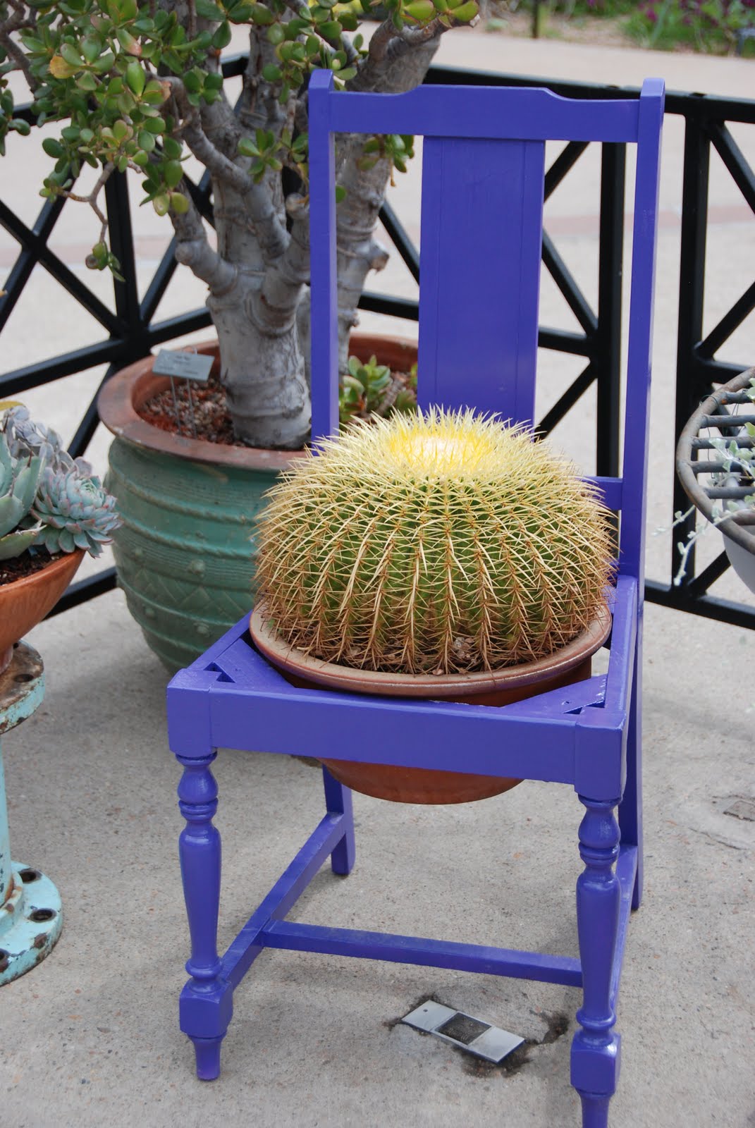 cactus-in-chair.jpg