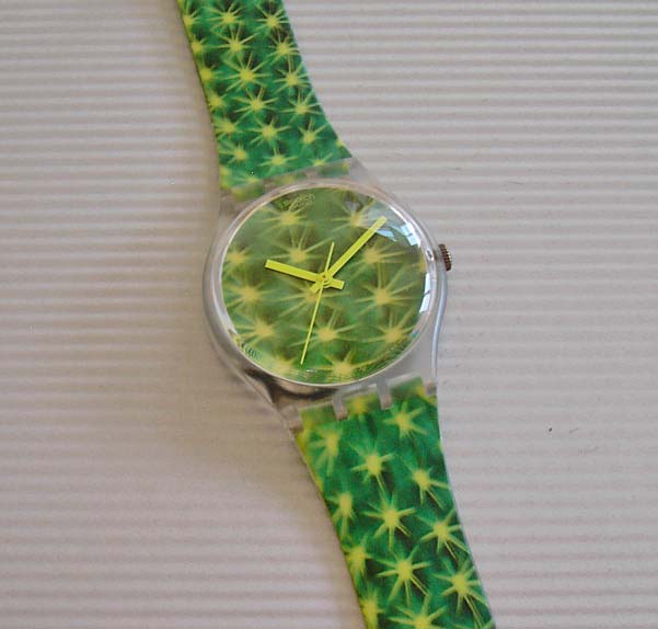 cactus.jpg