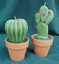 CACTUS-NOPAL1.jpg