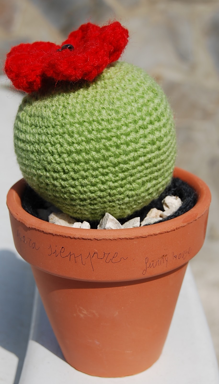 cactus9-1.jpg