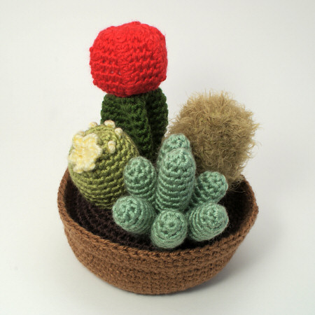 cactus_collection1b.jpg