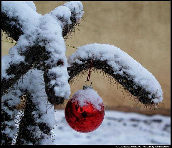 cactus_ornament.jpg