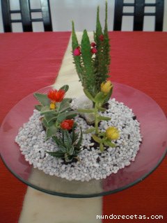 cactus_peke~0.jpg