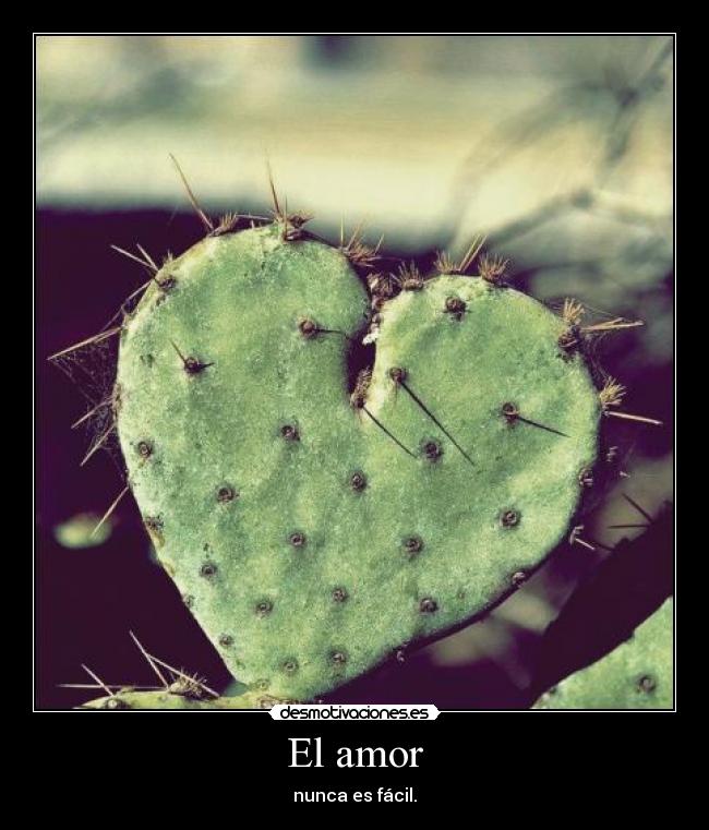 cactusamor_2.jpg