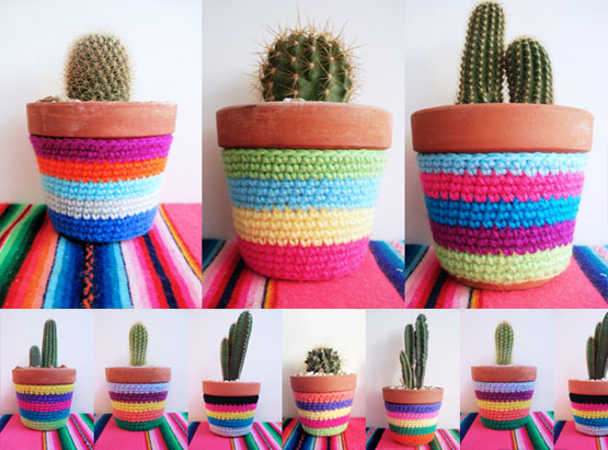 cactusgrandes.jpg