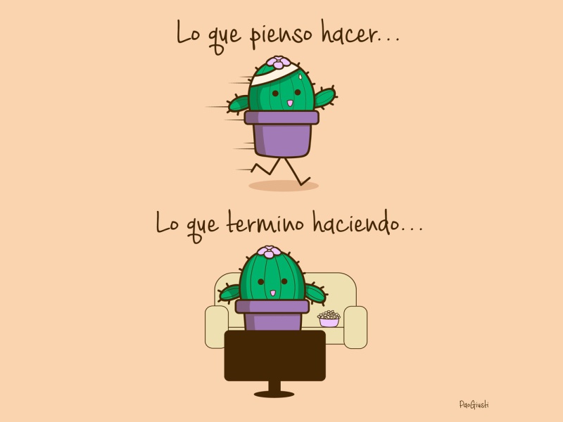 cactusgym.jpg
