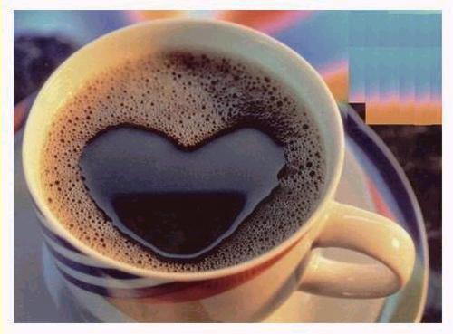 cafe.jpg