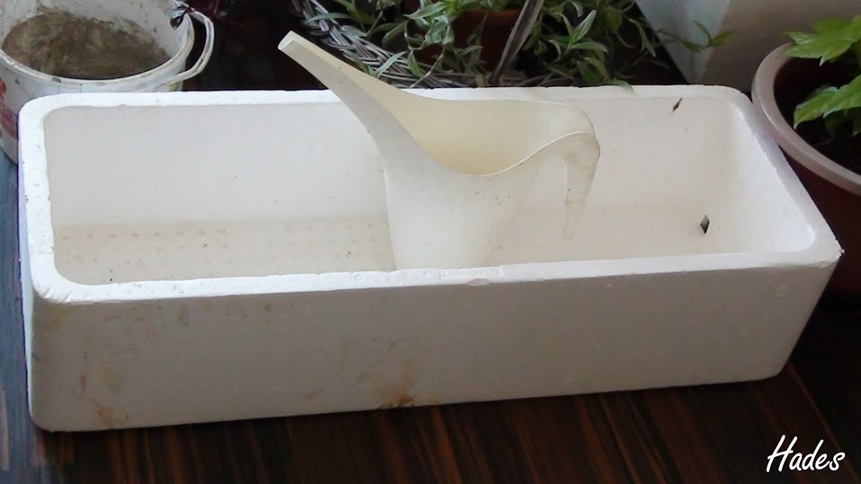caja%2Bde%2Bcorcho%2Blarga.jpg