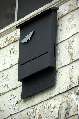 caja%2Bmurcielago%2B2.jpg