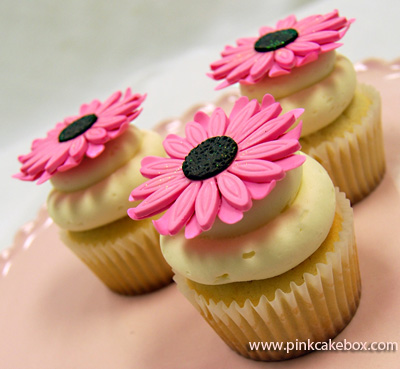cake568.jpg