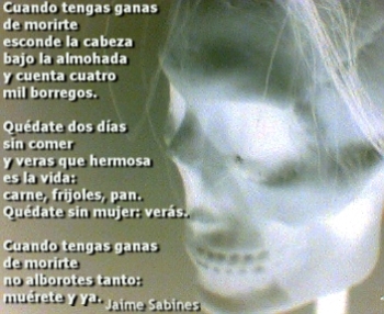 cala_sabines.jpg