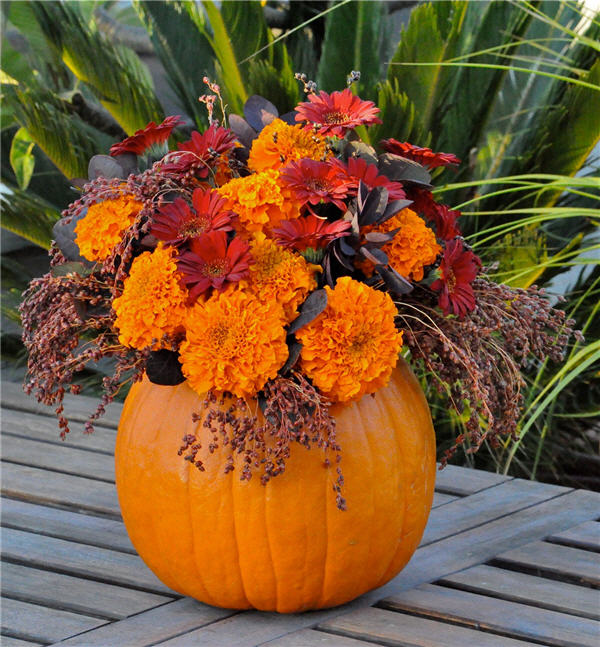 calabaza.jpg