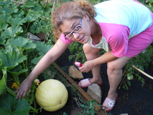 calabaza2.jpg