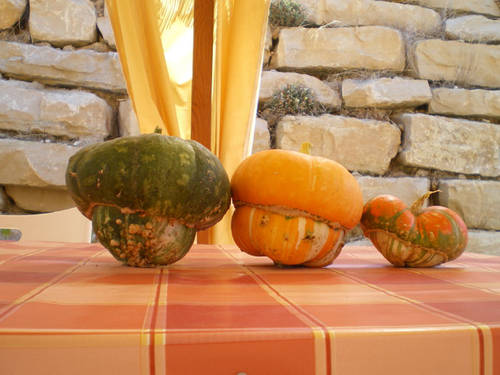 calabaza31.jpg
