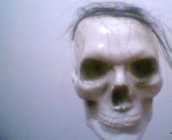 calavera.jpg