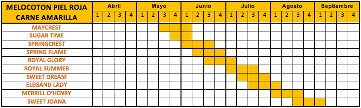 calendari-melocoton-piel-roja-carne-amarilla.png