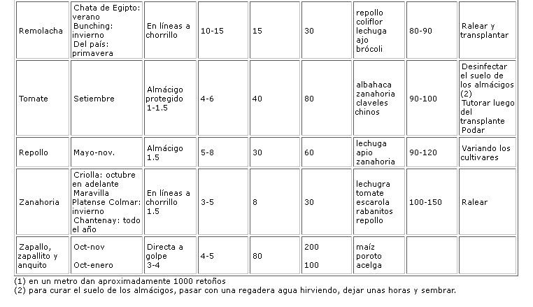 calendario-hortalizas-arg-3.jpg