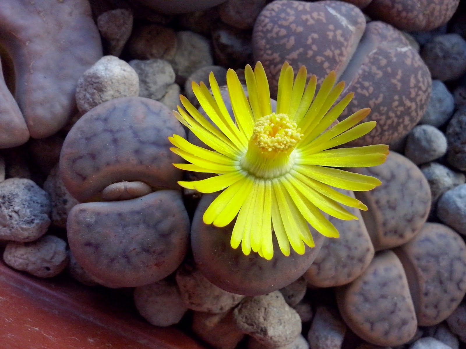 CAM00517.jpg