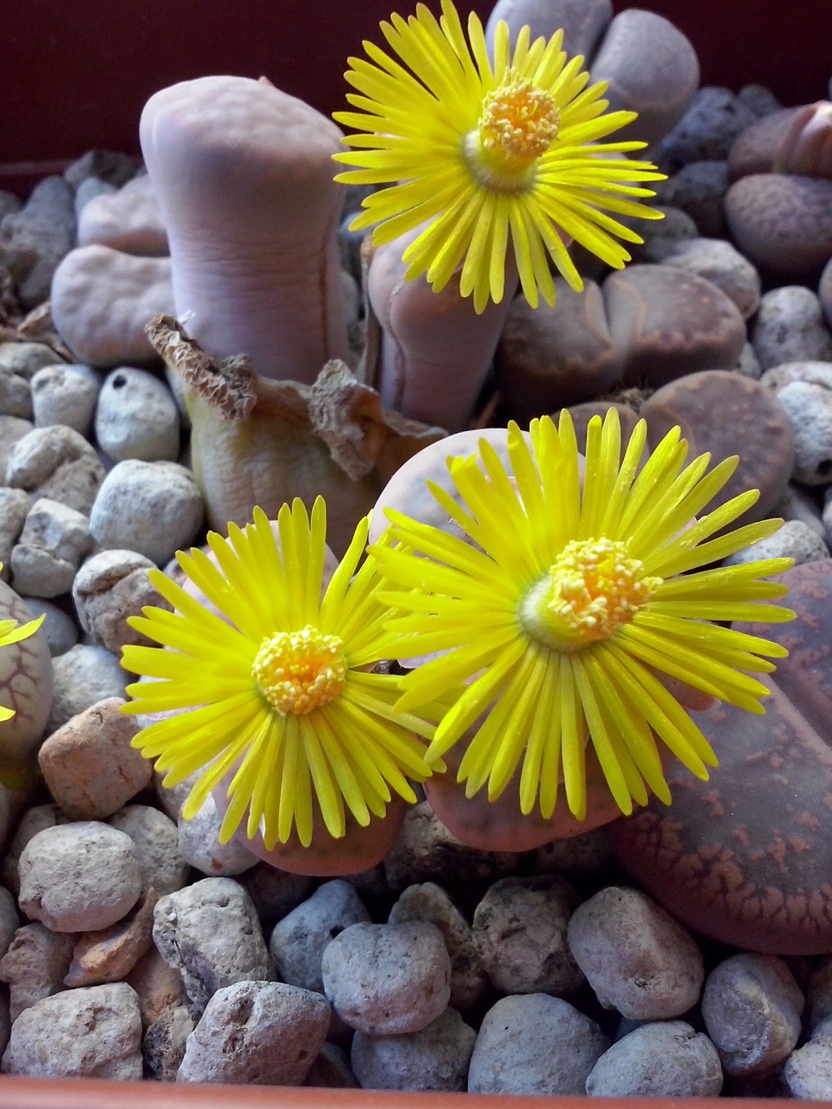 CAM00522.jpg
