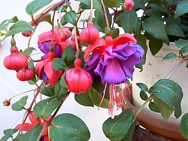 CAM_0828.JPG