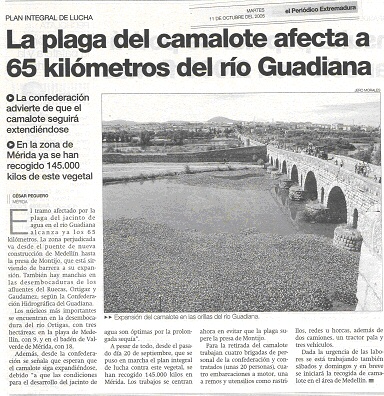 camalote.jpg