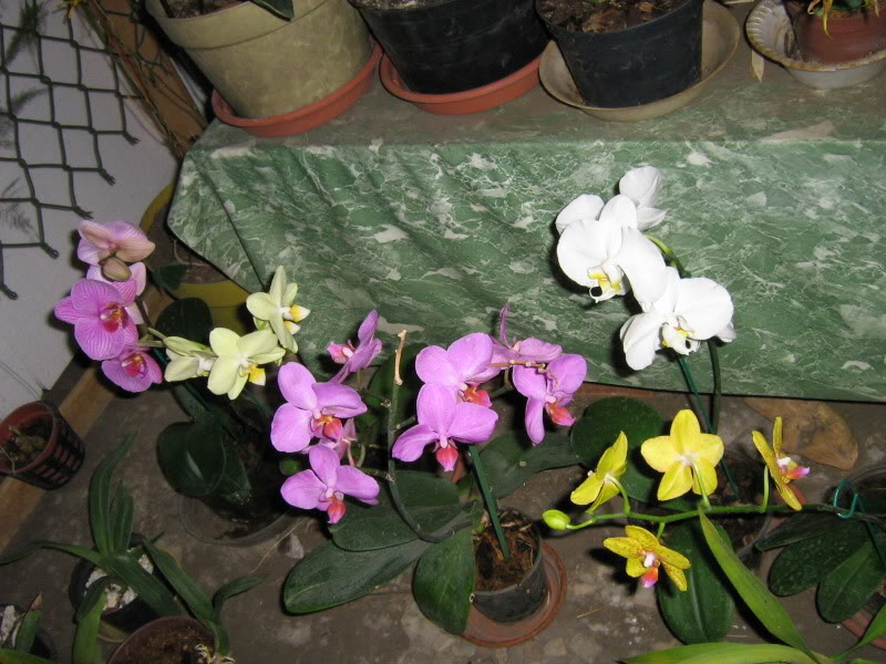 camara062.jpg