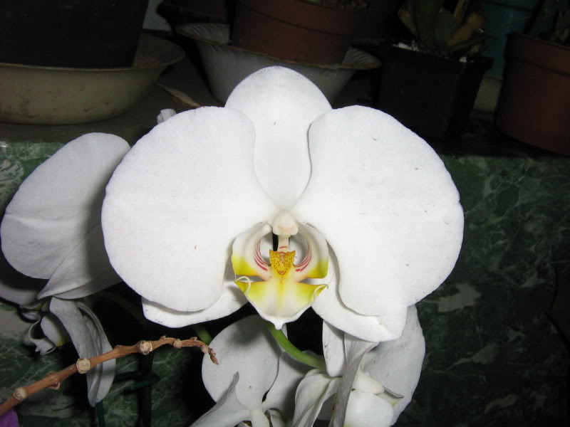 camara066.jpg