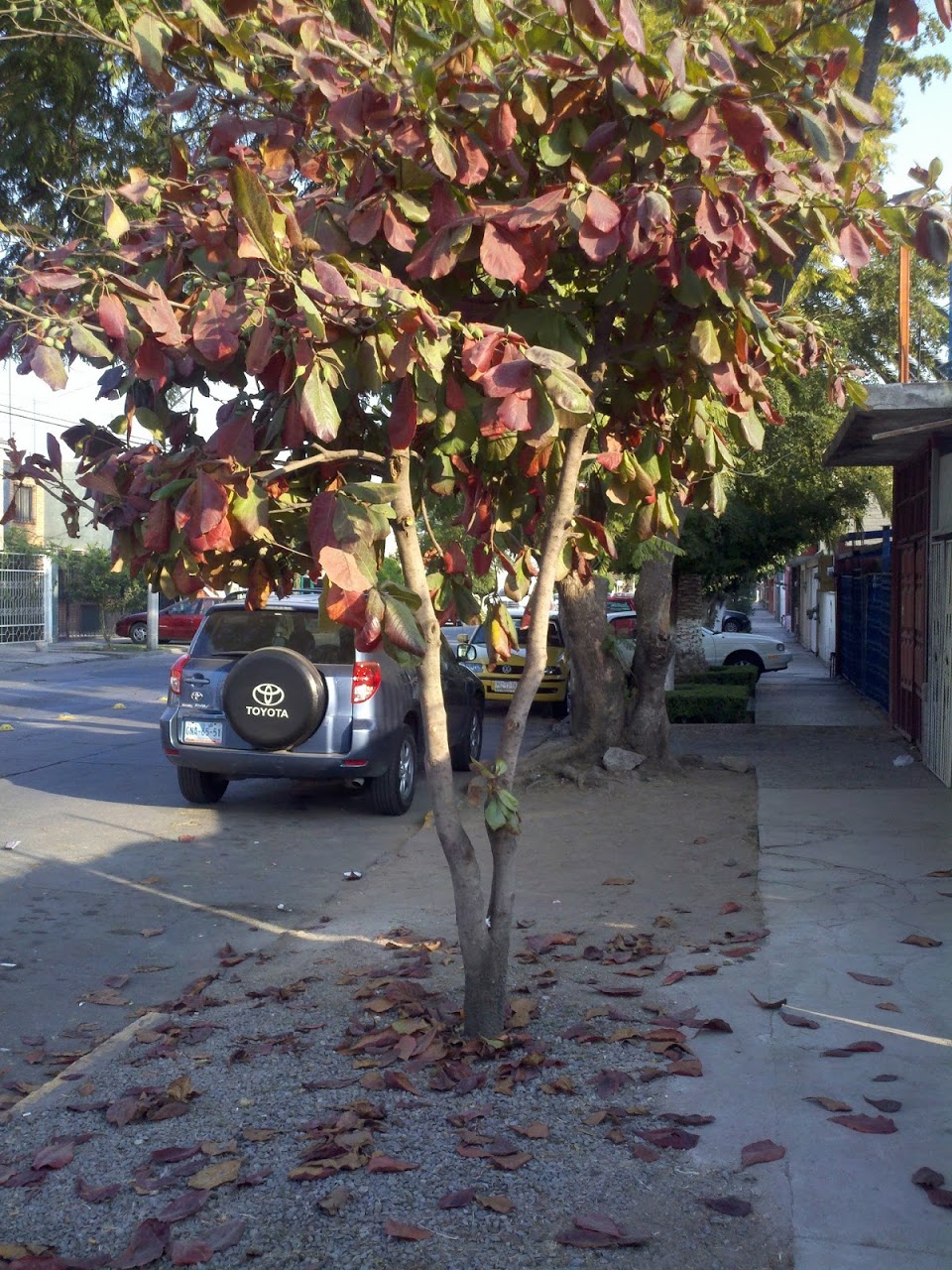 CameraZOOM-20111208163450964.jpg