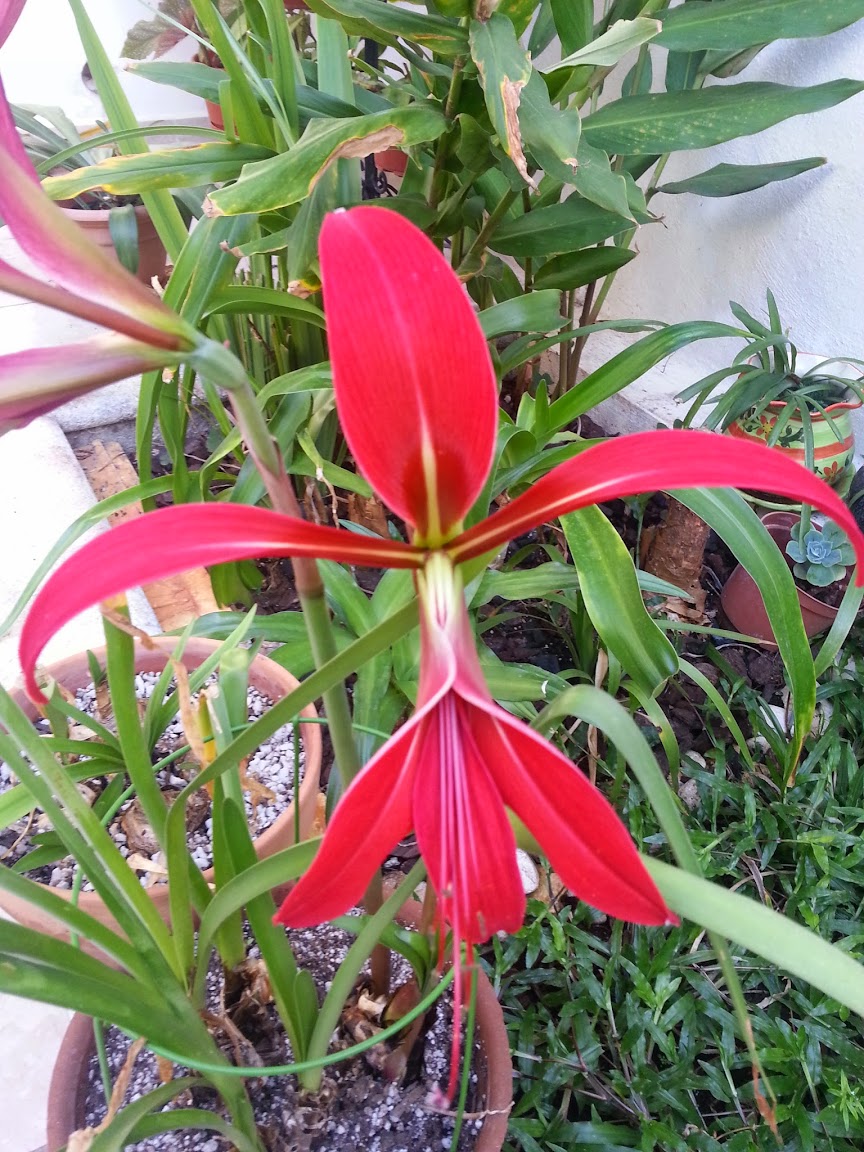 CameraZOOM-20150304162210885.jpg