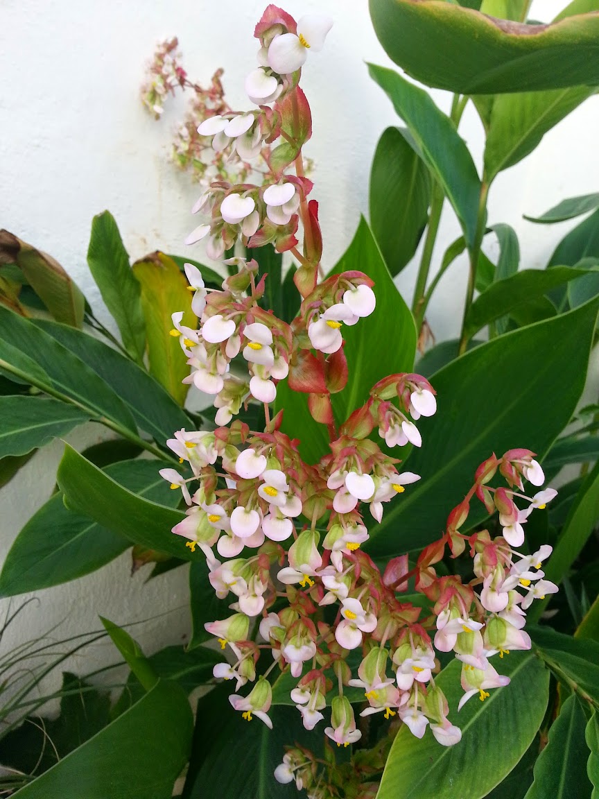 CameraZOOM-20150304162233329-1.jpg