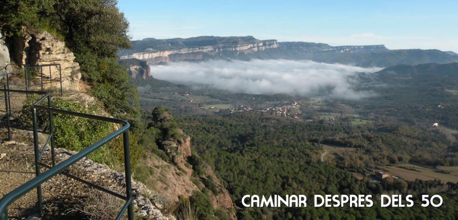 camidesp50_3.jpg