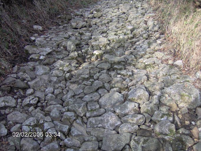 Camino%20Llanuces%20ASturias.jpg