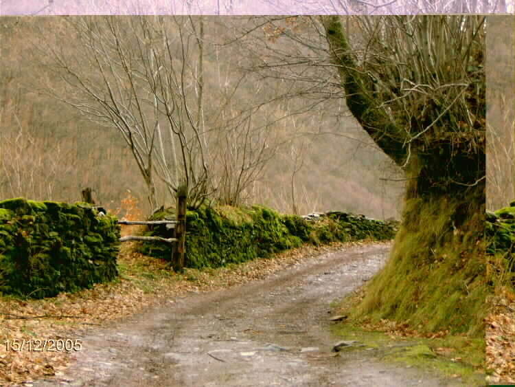 camino%20verde.jpg