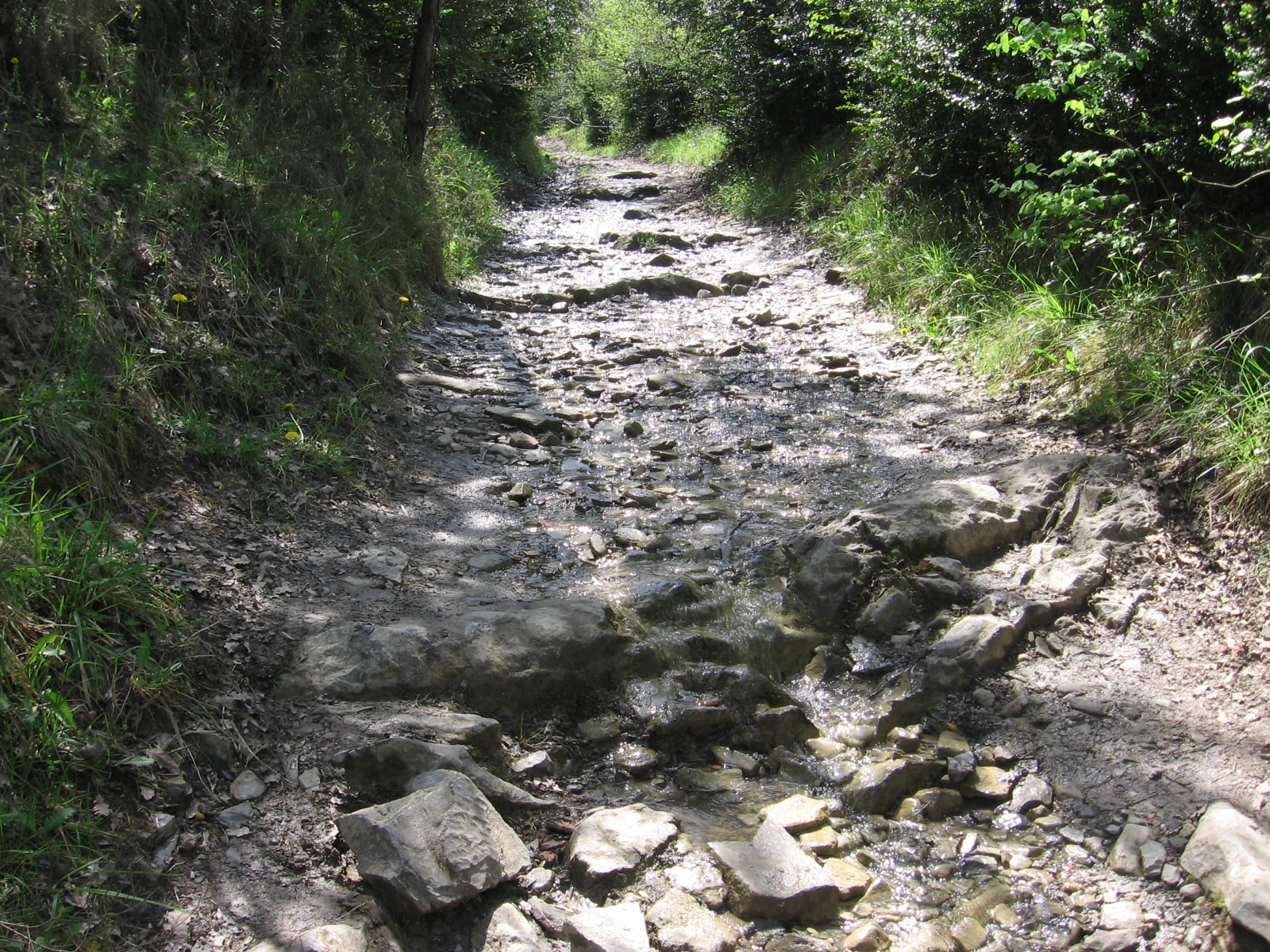 Camino%2Bde%2Bpiedras.JPG