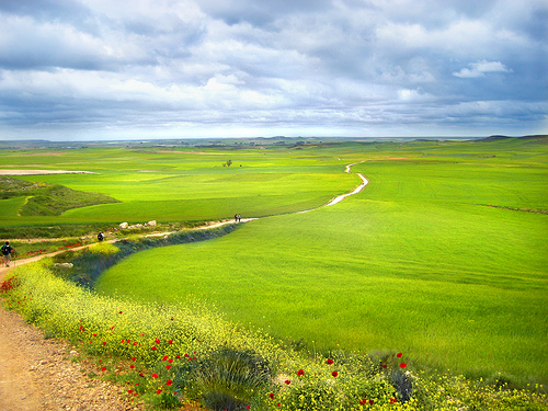 Camino+de+Santiago.jpg