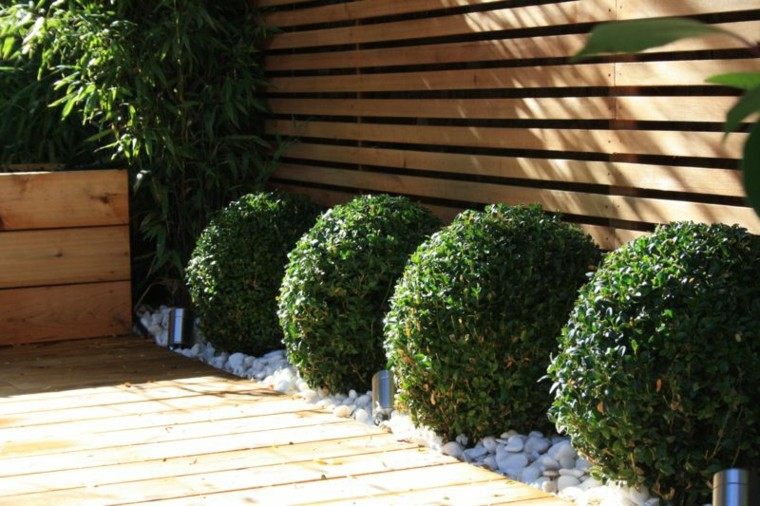 camino-jardin-setos-bolas.jpg