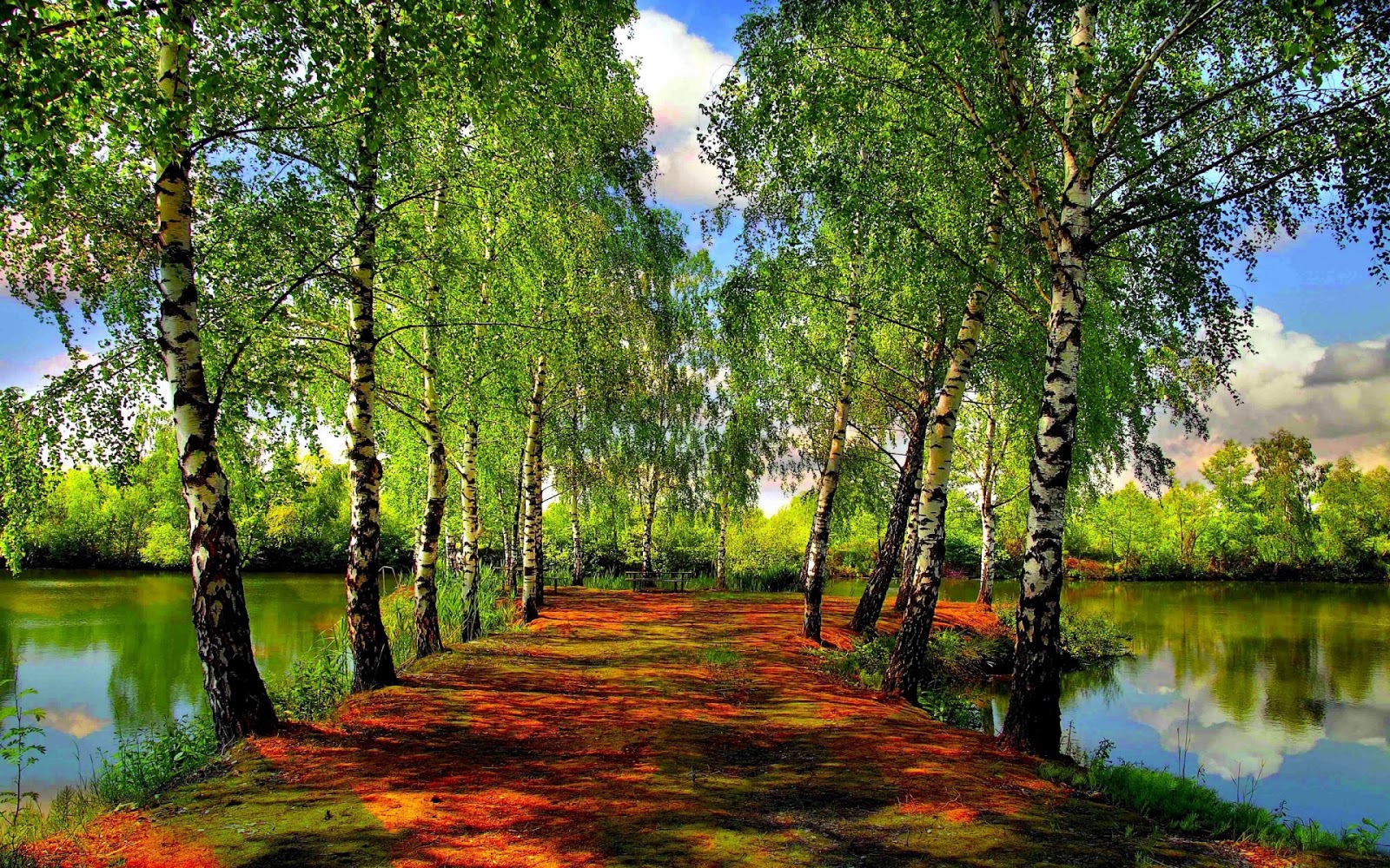 camino-verde-a-orillas-del-r%C3%ADo-paisaje-green-path-1920x1200-wallpaper.jpg