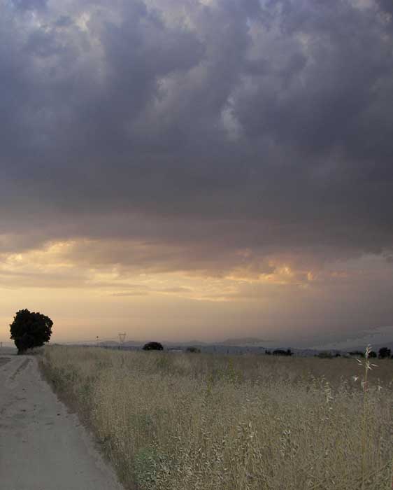 camino111.jpg