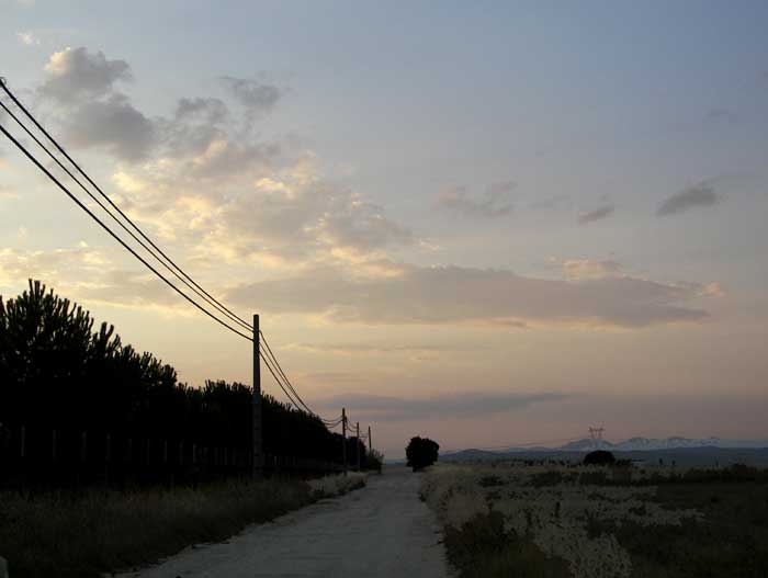 camino14.jpg