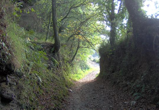 Camino2.JPG