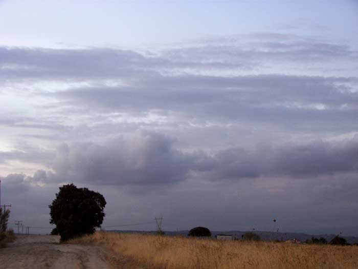 camino22.jpg