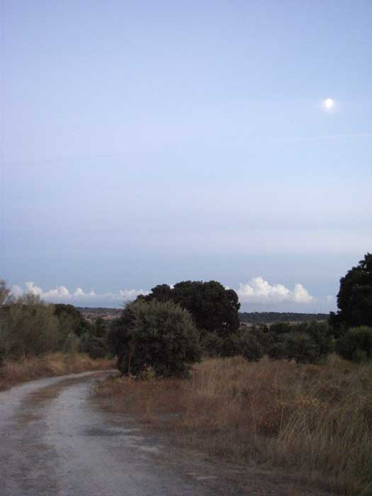 camino23.jpg