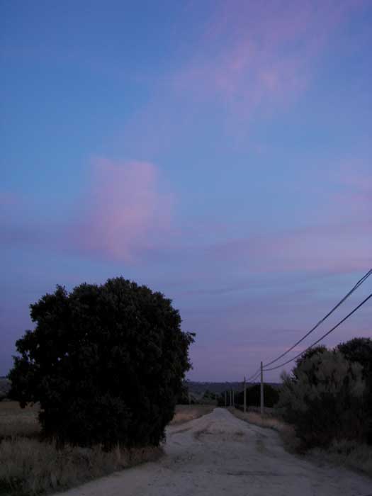 camino26.jpg