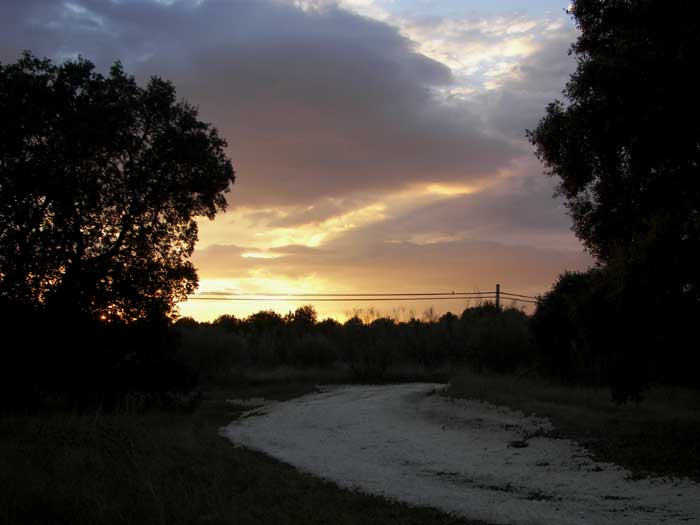 camino28.jpg