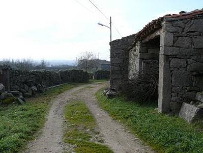 camino_2.JPG